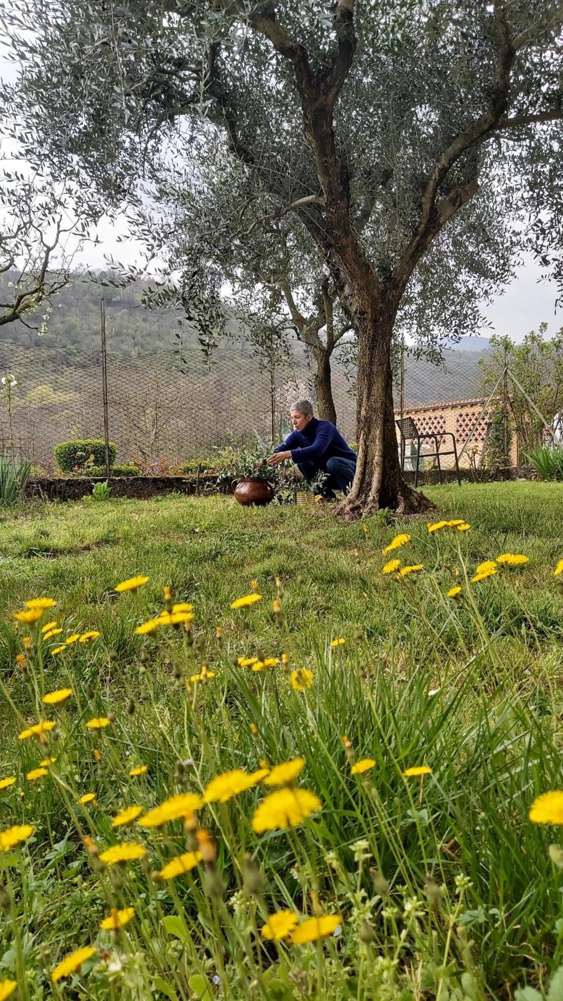 Corte Martinola Bed&Breakfast In Franciacorta Ome Exterior foto