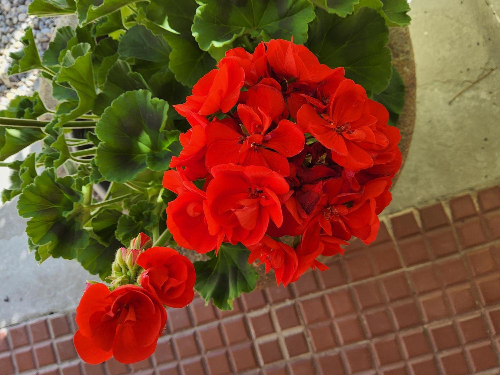 Corte Martinola Bed&Breakfast In Franciacorta Ome Exterior foto